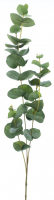 Eucalyptus-Zweig gruen 86cm 32880-1