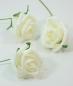Preview: Schaum-Rose D5cm Btl. 24 Stck creme-weiss 110185-12