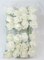 Preview: Schaum-Rose D5cm Btl. 24 Stck creme-weiss 110185-12