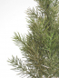 Preview: Tannenbaum ca. 58cm i.Topf gruen m.Glimmer 380087-42