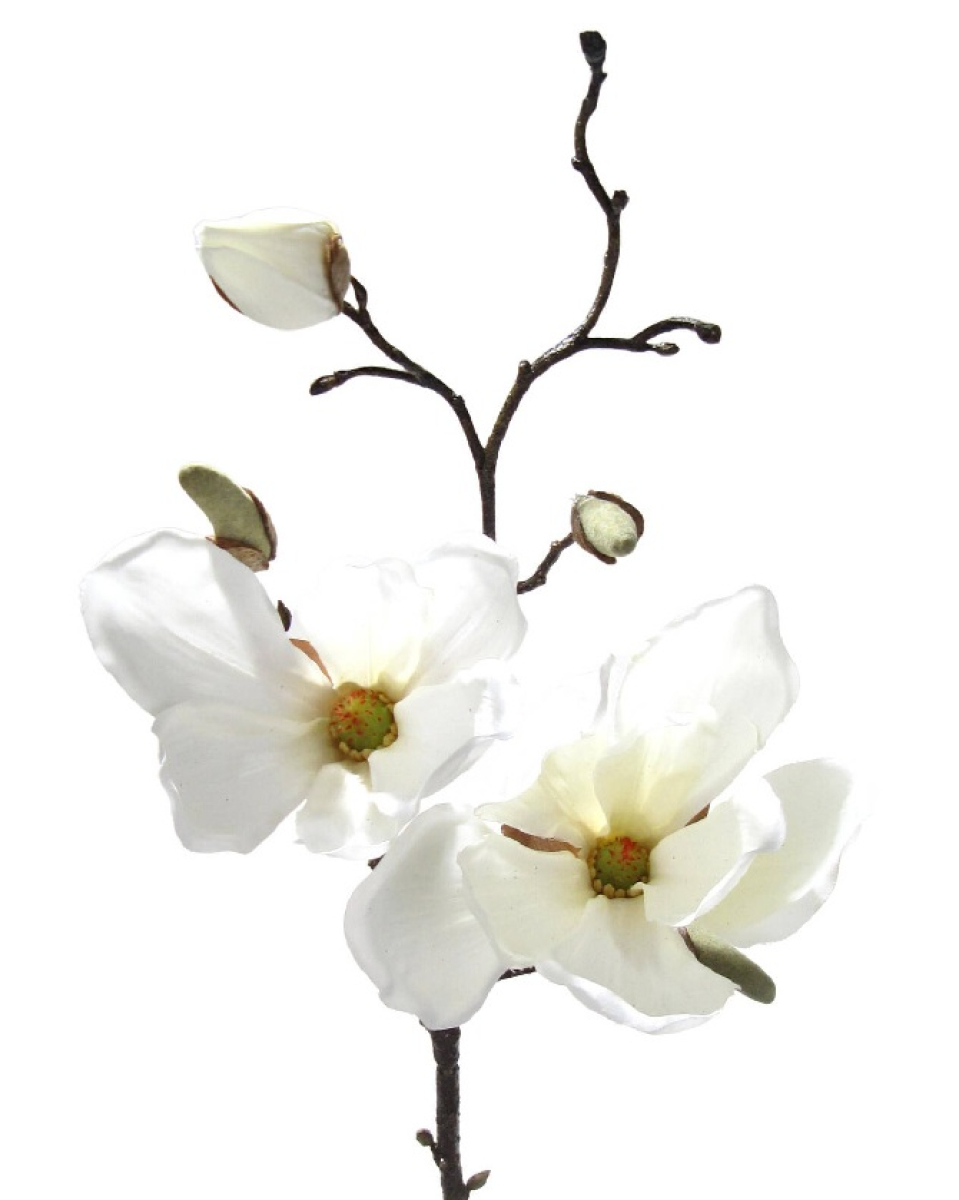 Magnolienzweig 2Bl,3Kn H48cm weiss 1838-01