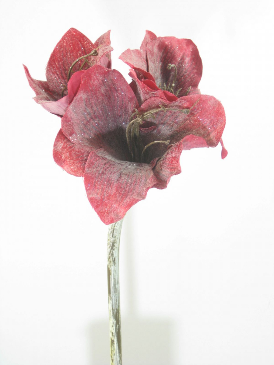 Amaryllis L49cm beeist rot 110227-26