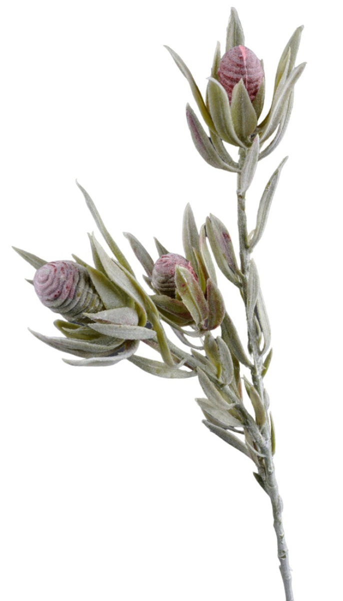 Protea L43cm gruen-rot 120002-42