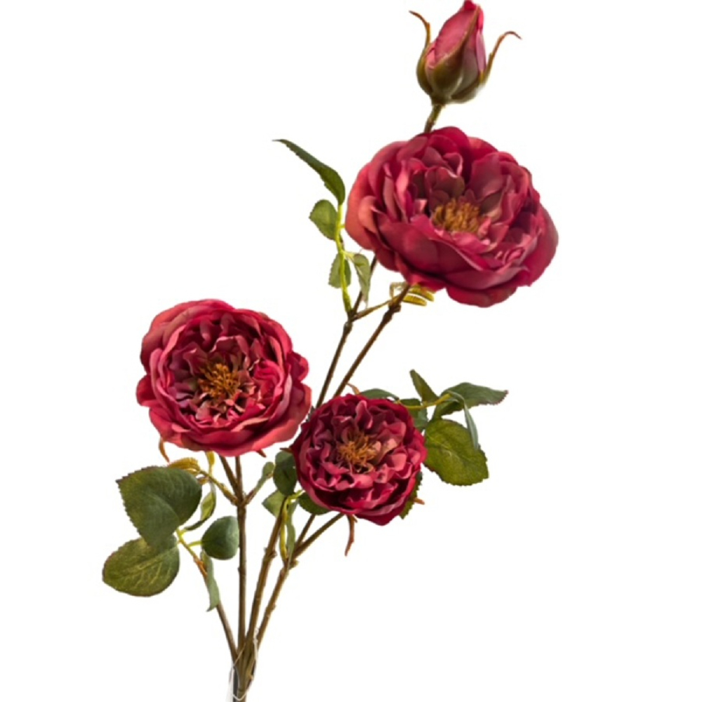 Rosenzweig, 65cm fuchsia 120135-55