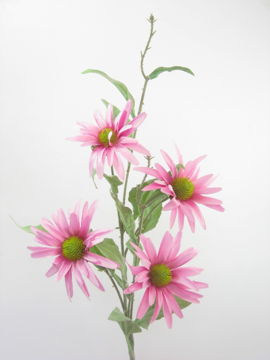 Asternzweig x4, 75cm pink 120154-22