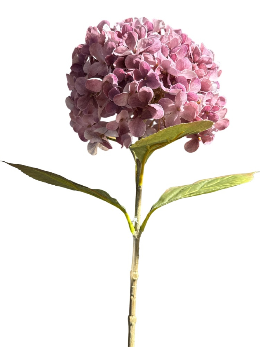 Hortensie, 64cm hellviolett 120248-56