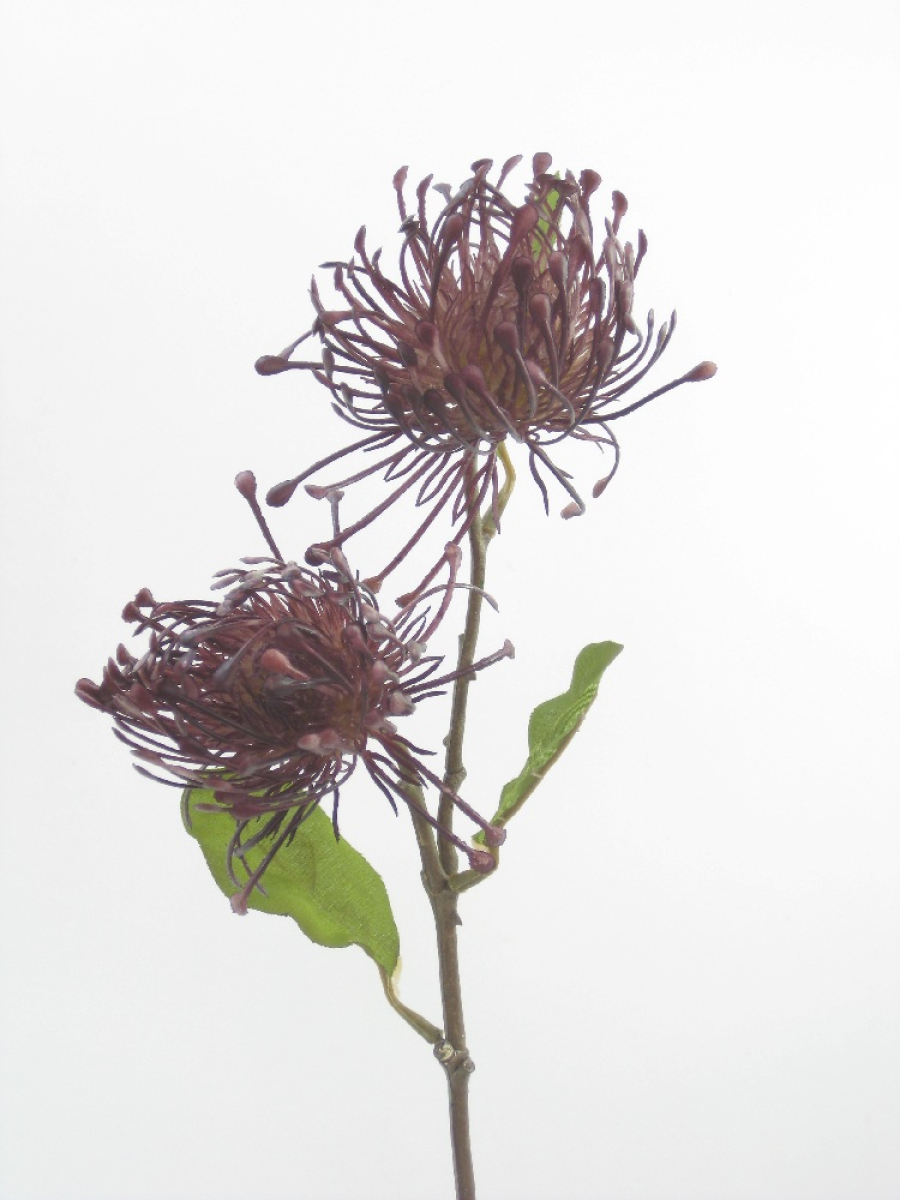 Chrysanthemenzweig x2, 55cm violett 120310-57
