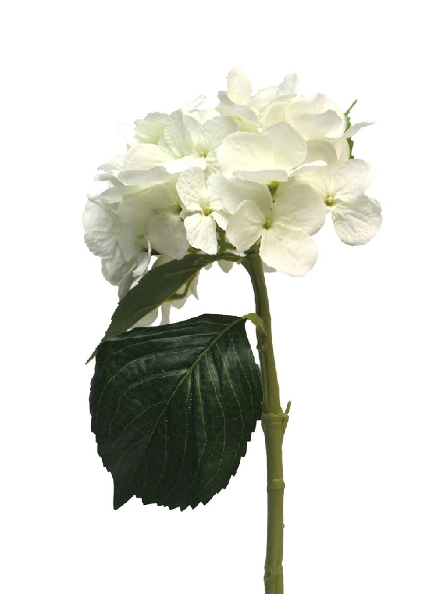 Hortensie Artist 48cm creme 12275-0