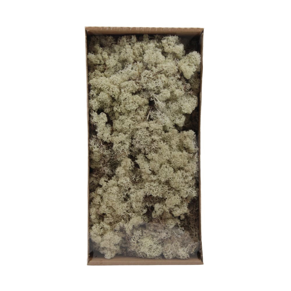 Islandmoos natur 500gr 125815