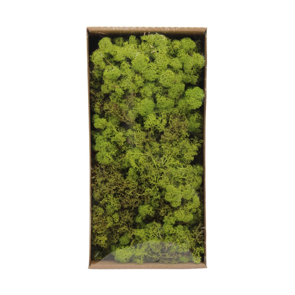 Islandmoos fruehlingsgruen 500gr 125816