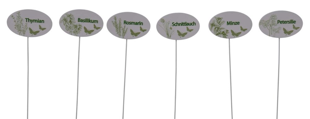 Holzstecker KraeuterNamen" 6sort., weiss/gruen, 8x0,5x25cm 12601122