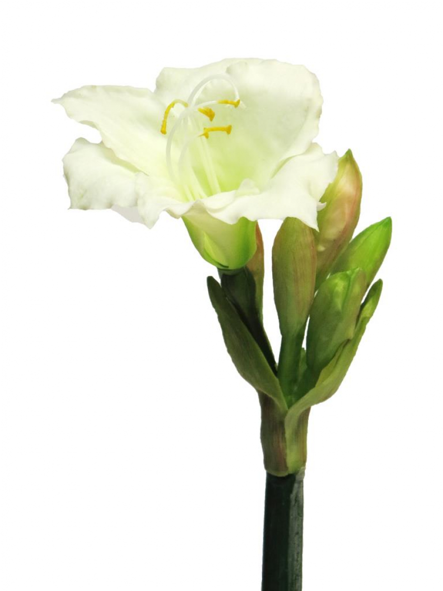 Amaryllis Regent ca. 56cm creme 12631-0