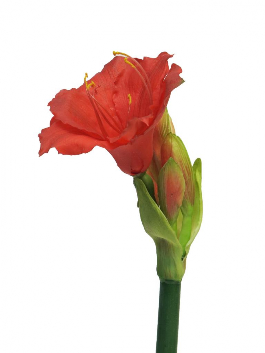 Amaryllis Regent ca. 56cm rot 12631-3