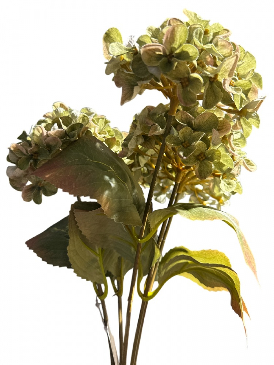 Hortensienbusch x5, 45cm gruen 130319-42