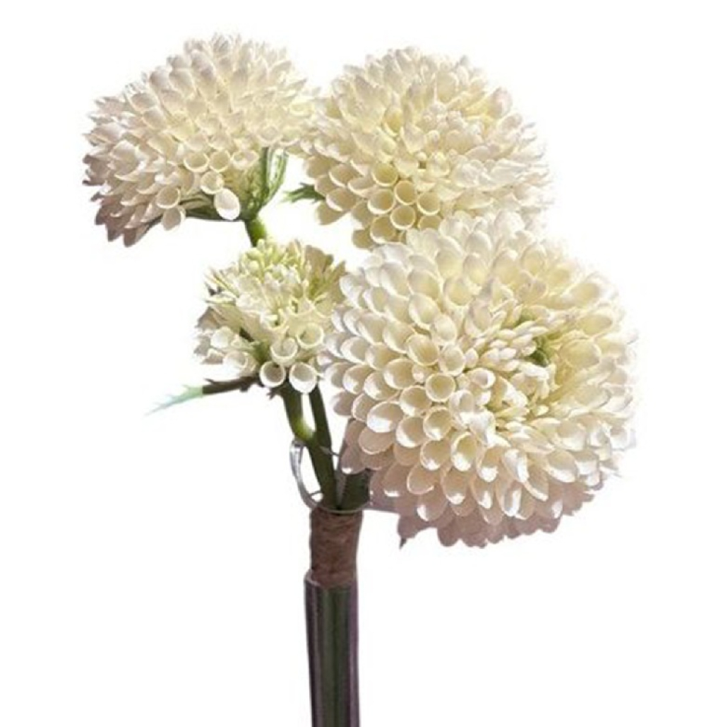 Zinnienbund x3, 33cm weiss 130327-11