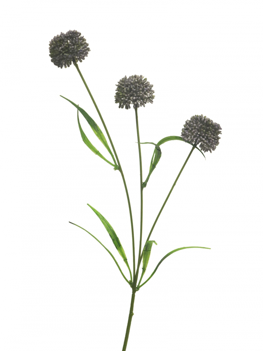 Allium Manousch blau 51cm 13101-4