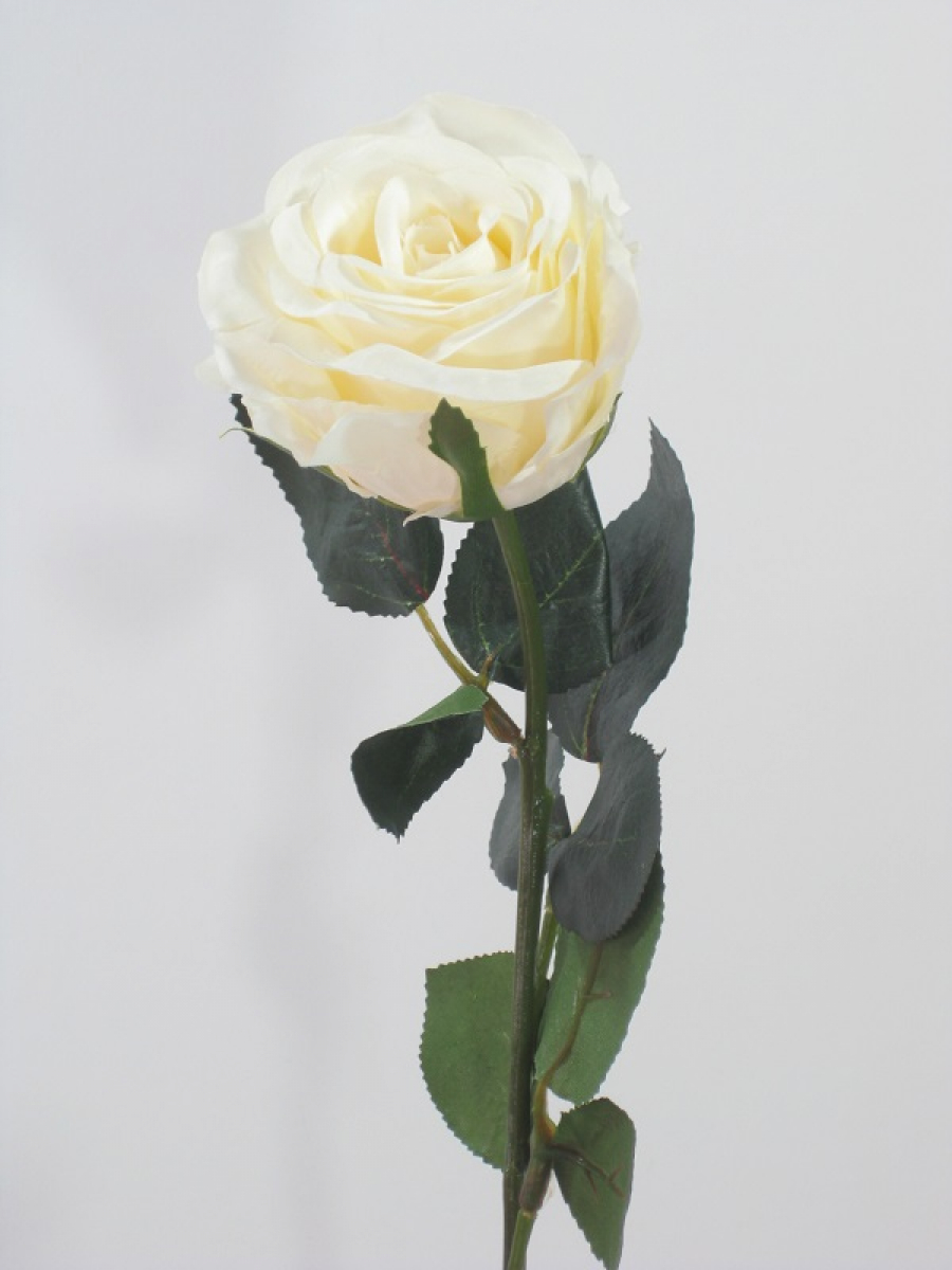 Rose gefuellt Madame" 1Bl,9Lb L37cm cremeweiss 1333-01"