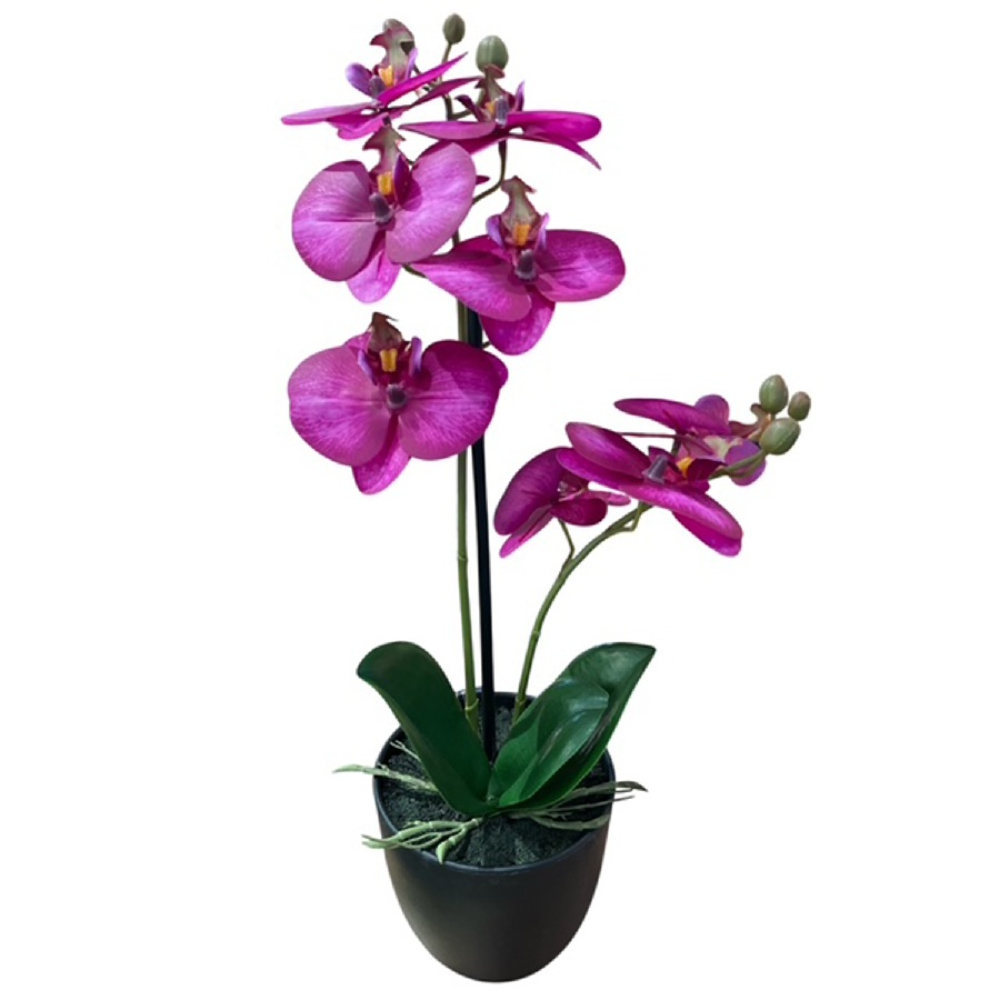 Orchidee x2 im Topf, 41cm violett 190091-57