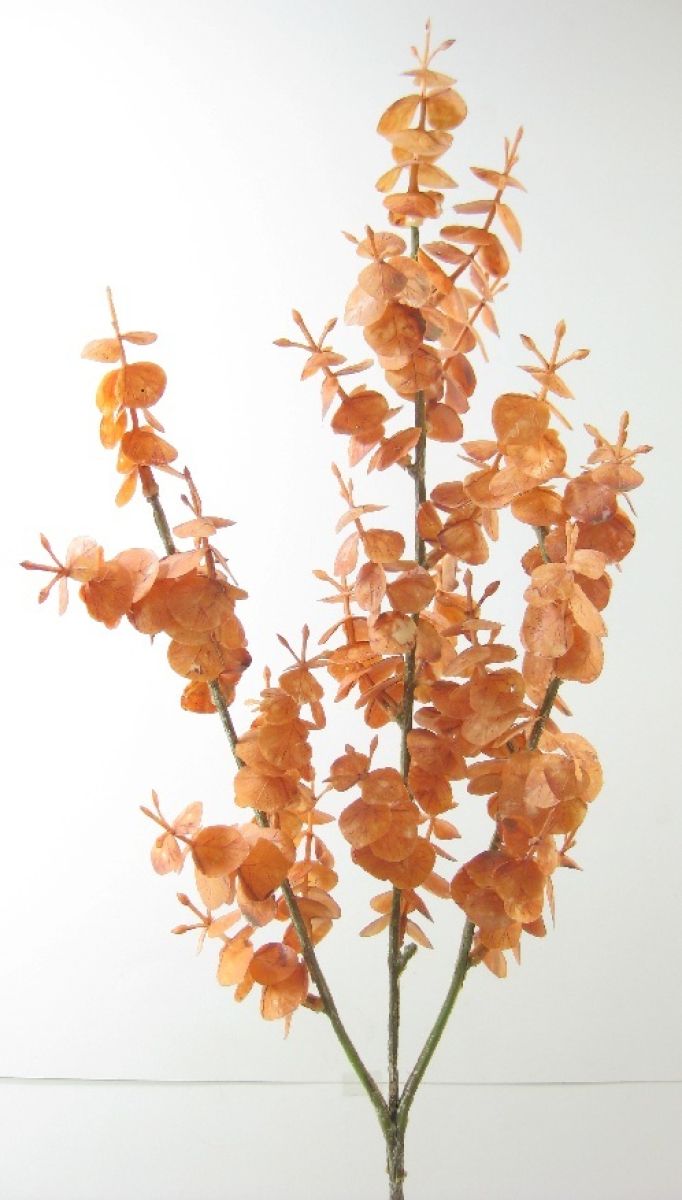 Eucalyptuszweig, L66cm apricot 220053-36