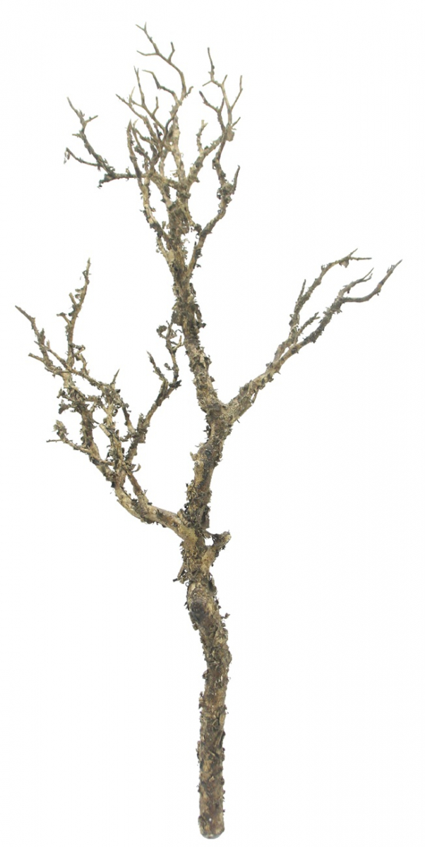 Ast knorrig ca. 67,5cm braun 220065-62