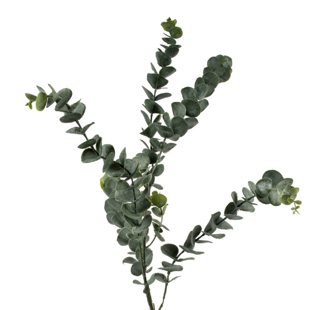 Eucalyptus L88cm gruen 220325-42
