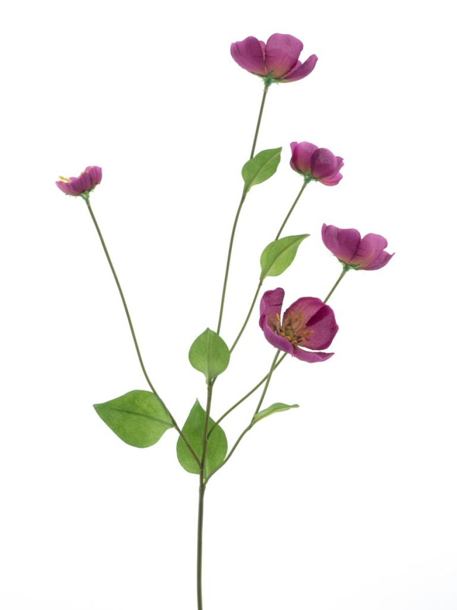 Melastoma-Zweig beauty 76cm 22346-6