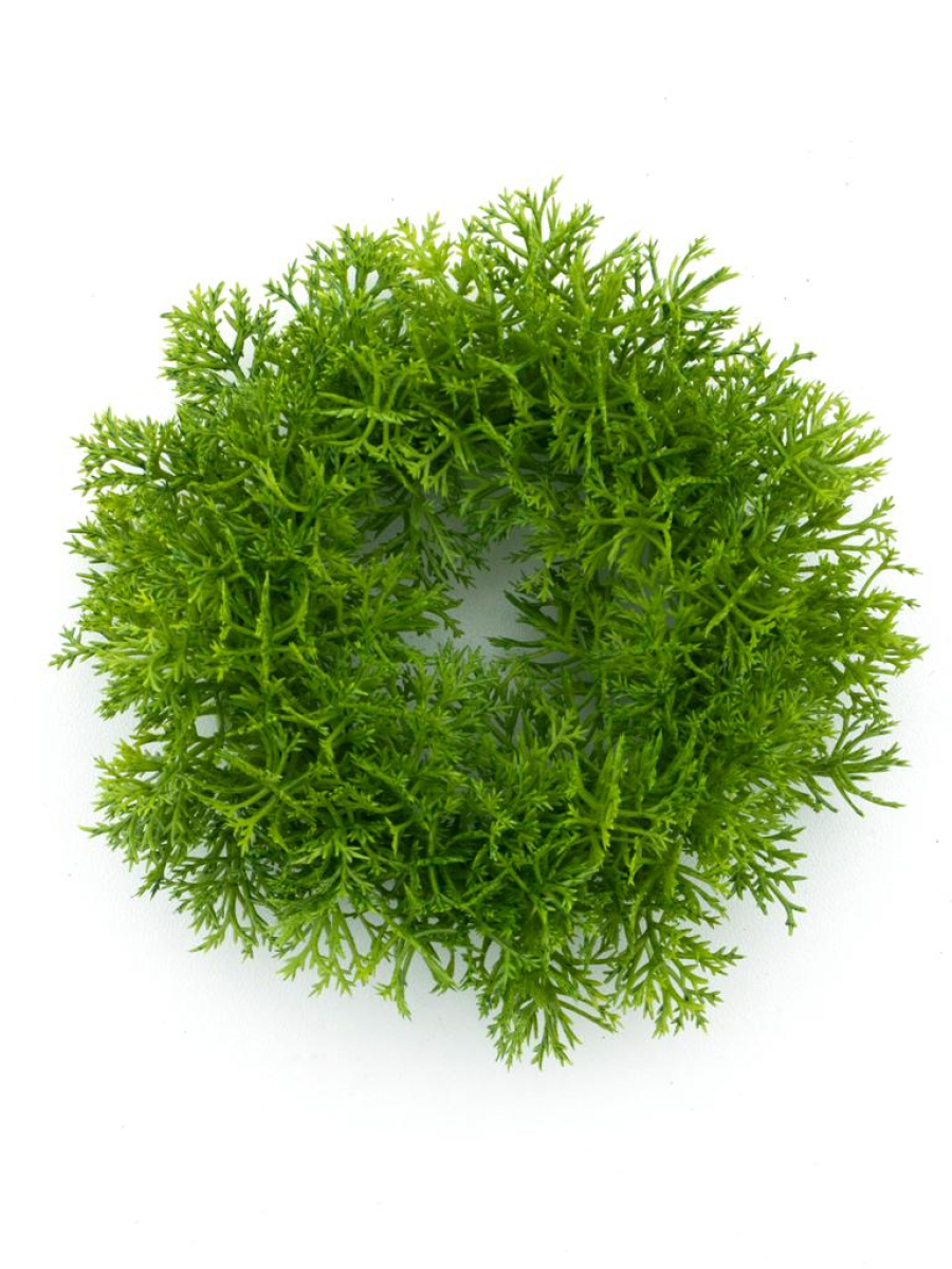 Zedern Kranz gruen 13cm 22356-1