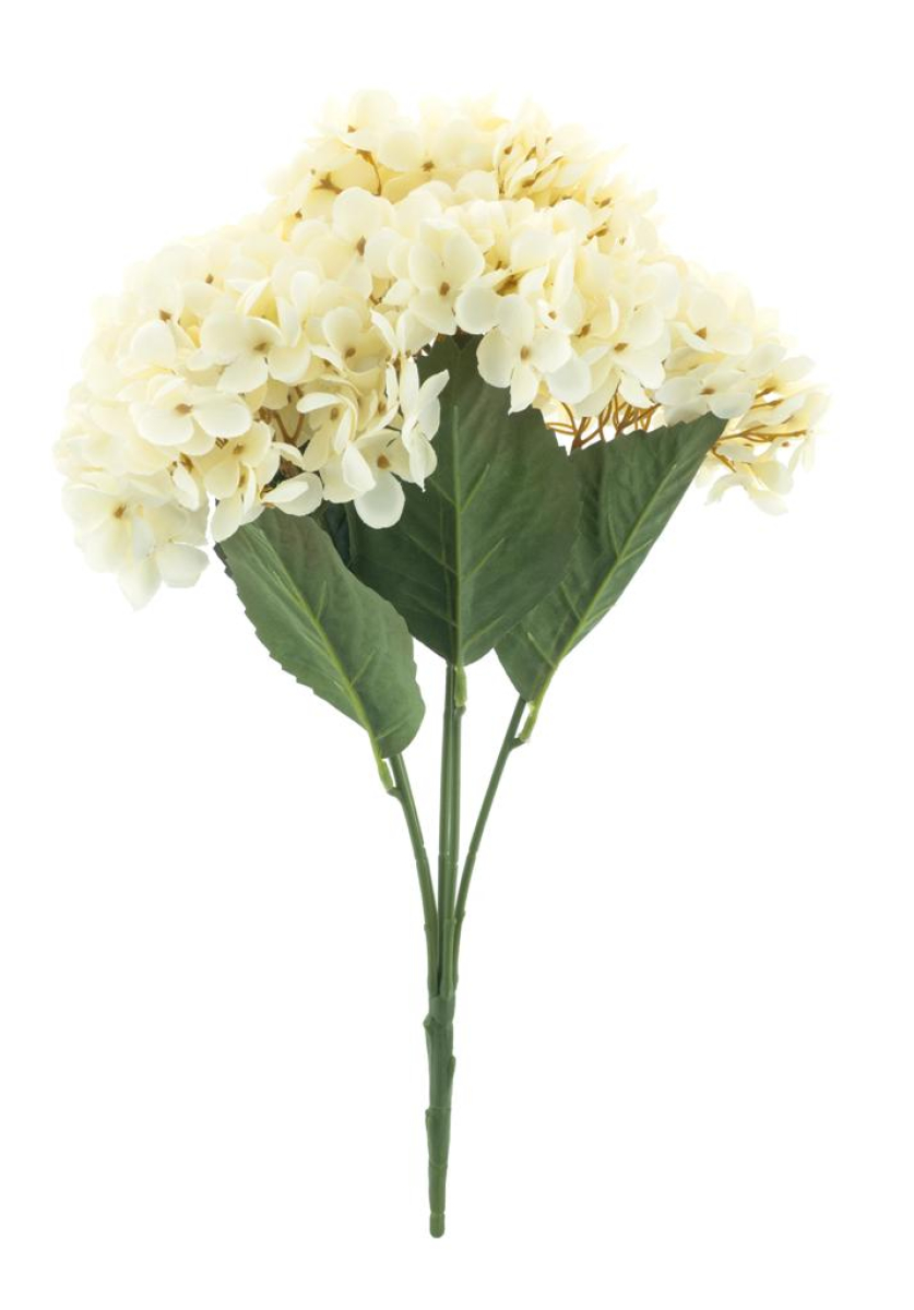 Hortensien-Busch Eifel creme 47cm 22729-0