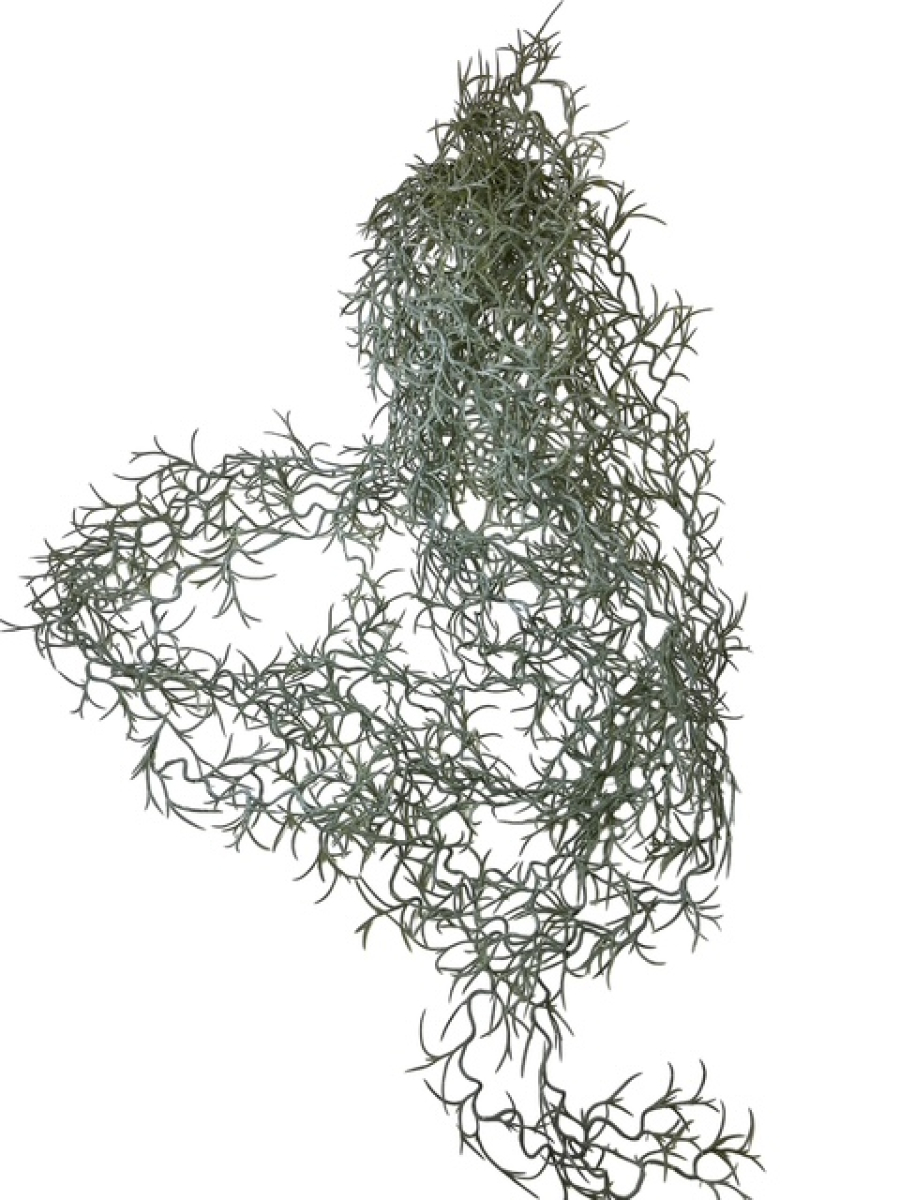 Tillandsiahaenger, 70cm gruen/grau 230366-42