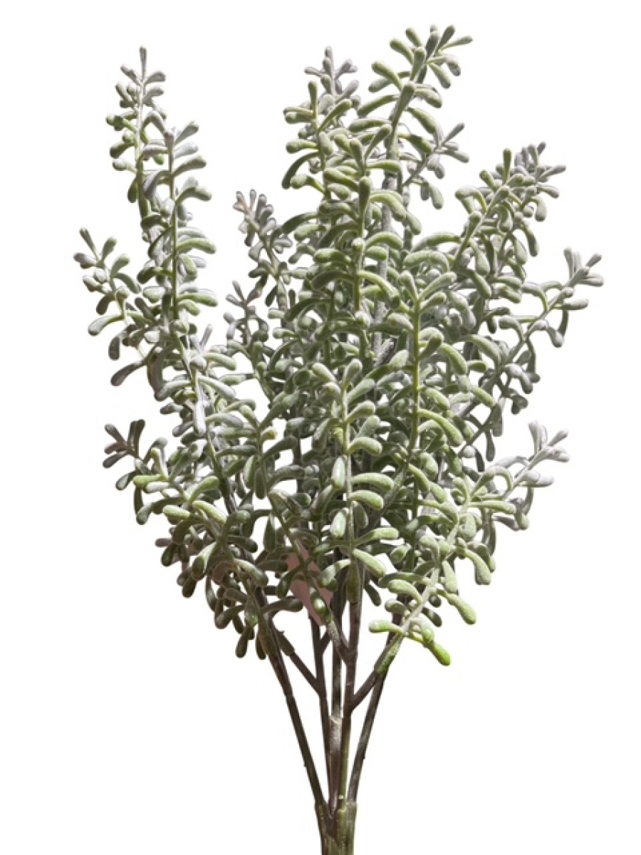 Sedumbusch x5, 29cm hellgruen 230389-41