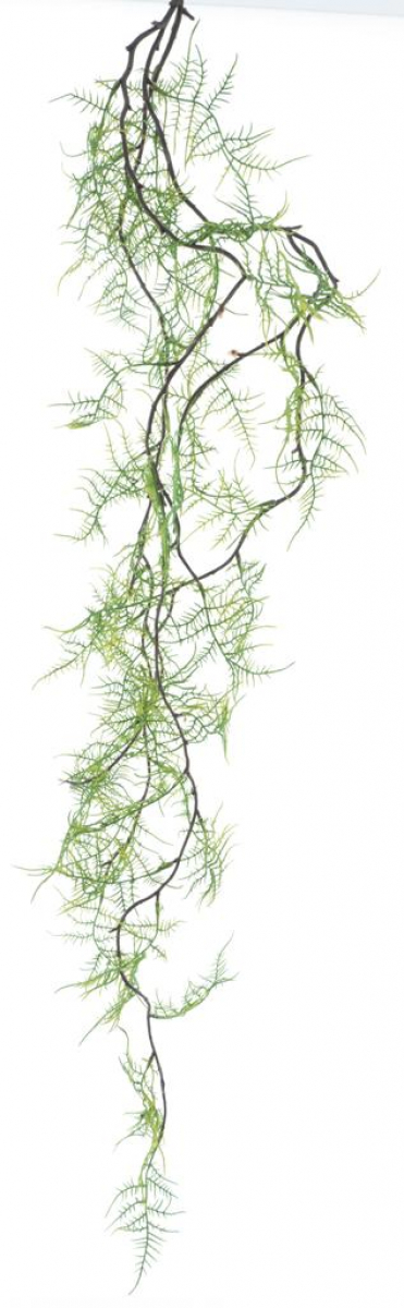 Asparagus Girlande gruen 107cm 32842-1