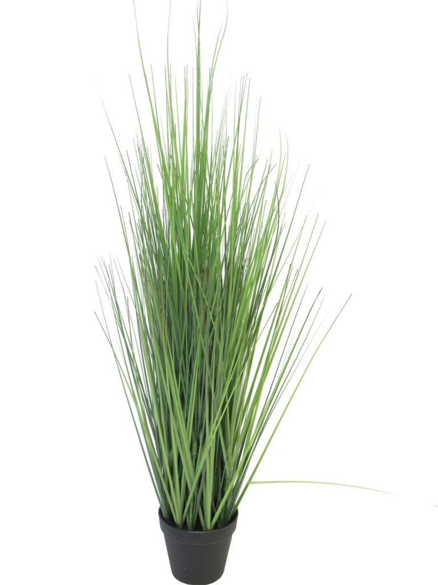 King festuca Gras i.Topf 86cm gruen 51323-1