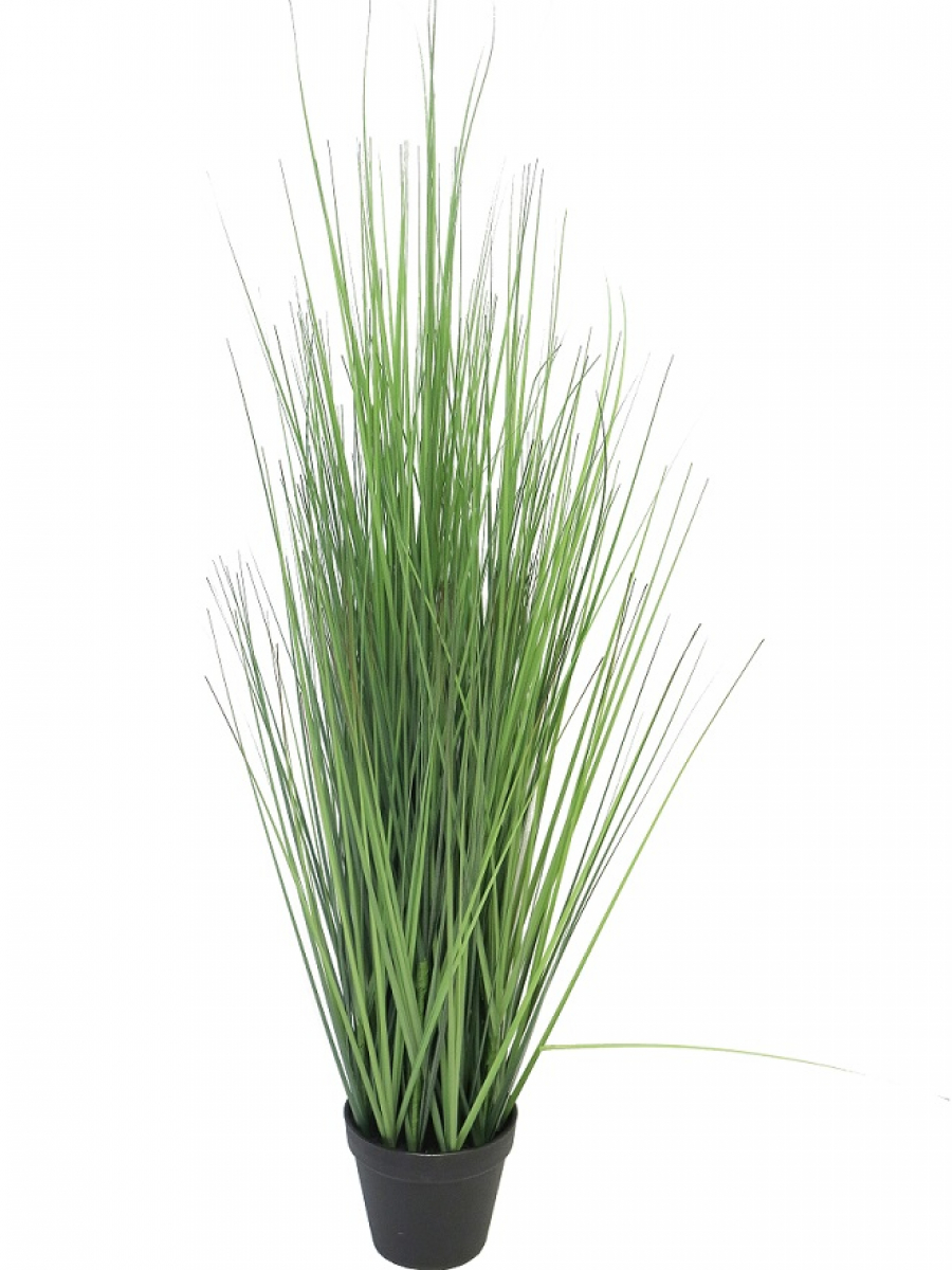 King festuca Gras i.Topf gruen 86cm 51323-1