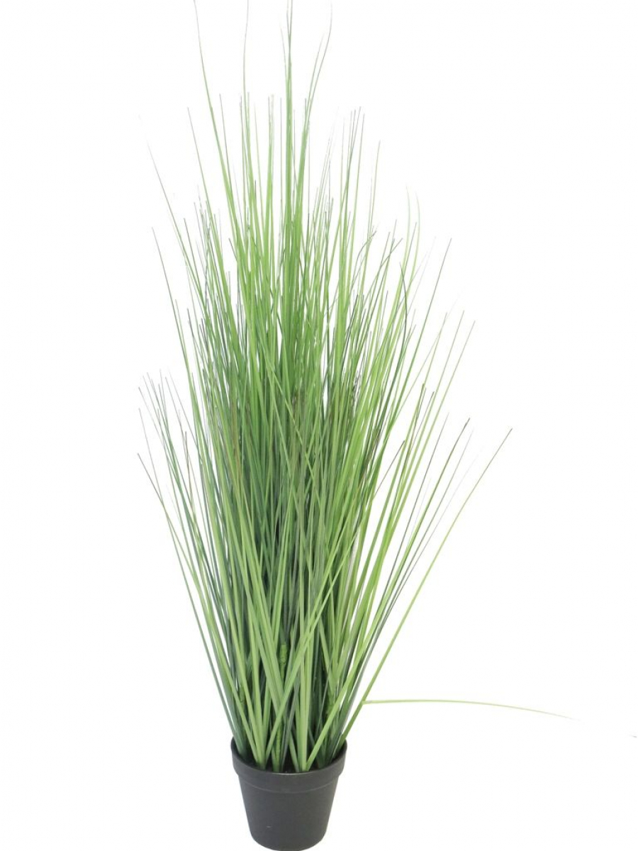 King festuca Gras i.Topf gruen 115cm 51617-1