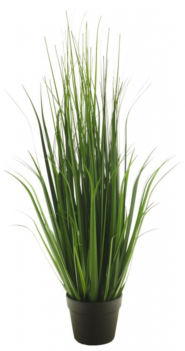 Festuca-Gras mix i.Topf hellgruen 89cm 51832-2