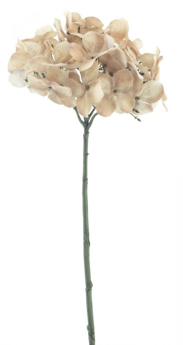 Hortensie Caseros braun ca. 48cm 72321-8
