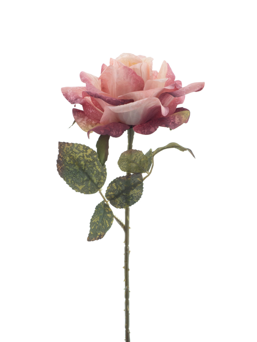 Brandy-Rose Monica ca.50cm rosa 72355-7
