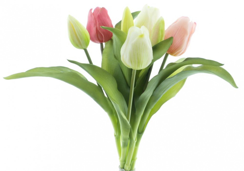 Tulpenbund Vermeer Sally pink/creme 31cm 93292-42