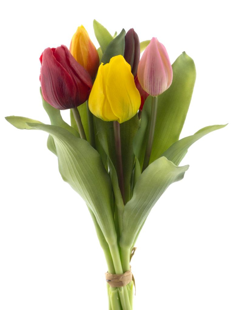 Tulpenbund Vermeer Sally buntmix 31cm 93292-49