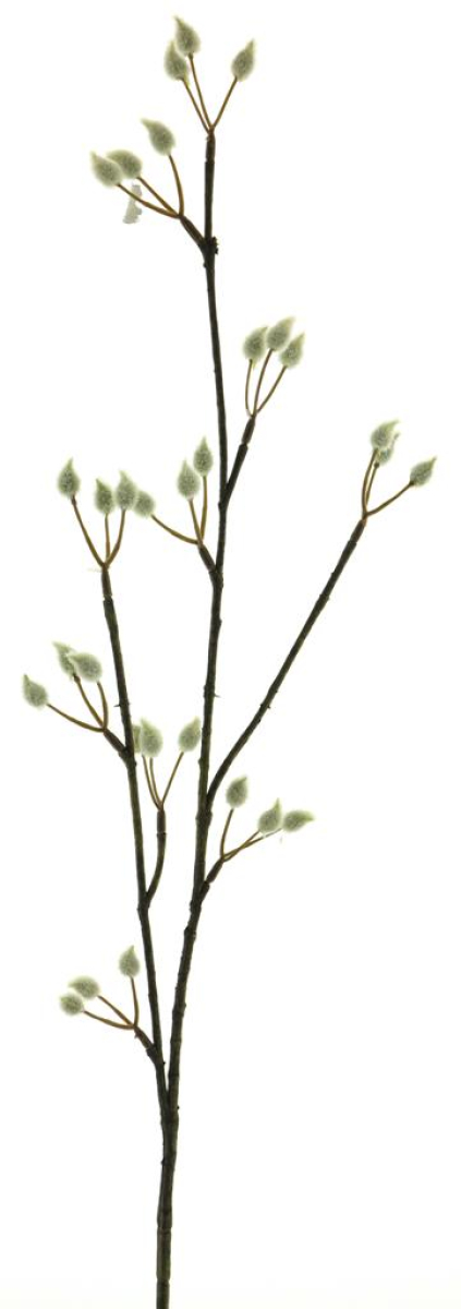 Weidenkaetzchen Zweig creme 78cm 93382-0