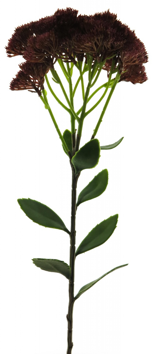 Sedum-Zweig burgund ca. 59cm 93748-3