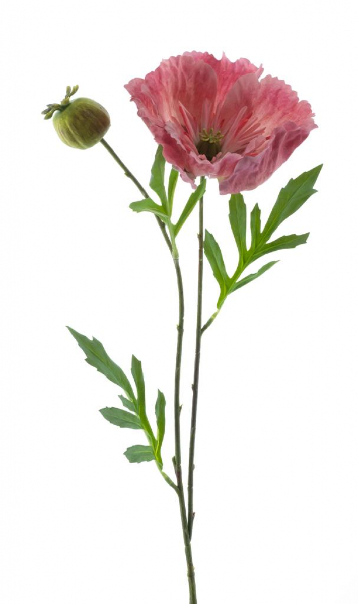 Mohn m.Knospe pink 82cm 96969-7