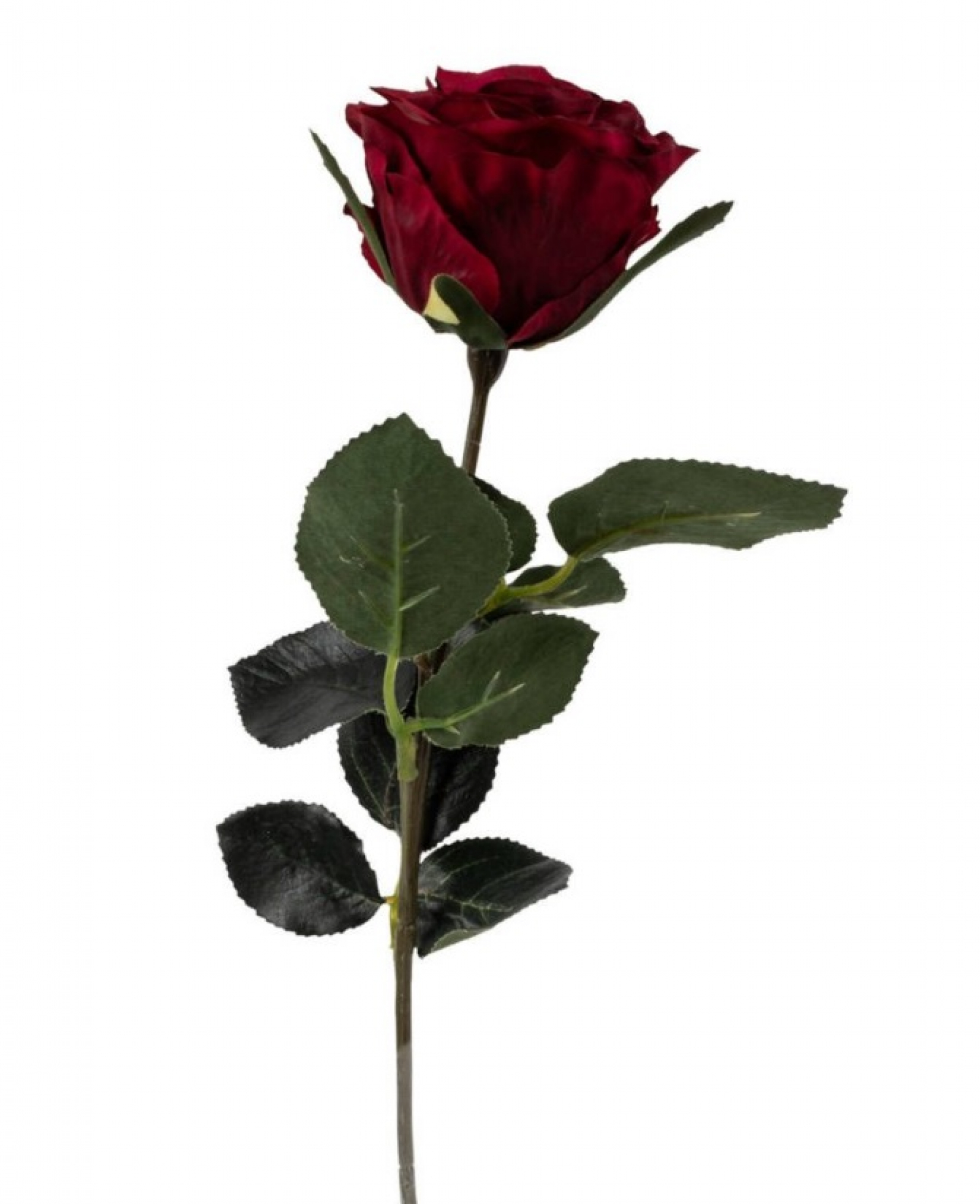 Rose gefuellt Madame" 1Bl,9Lb L37cm dunkelrot 1333-07"