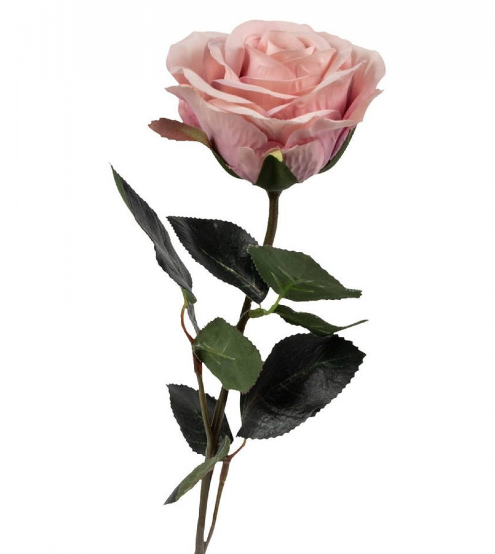 Rose gefuellt Madame" 1Bl,9Lb L37cm hellviolett 1333-15"