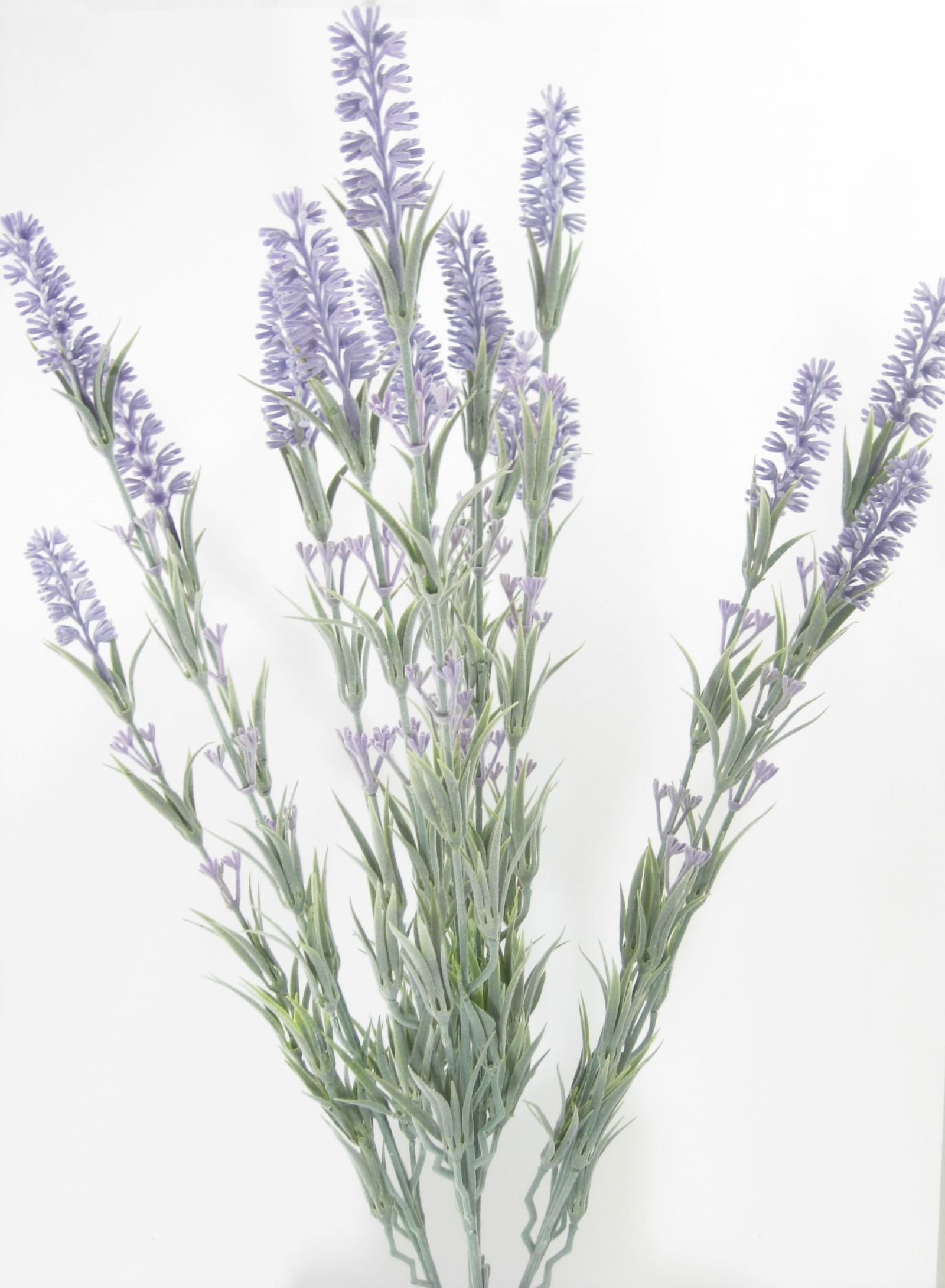 Lavendel-Pflanze 15-fach ca. 60cm HA4HX117915PU1