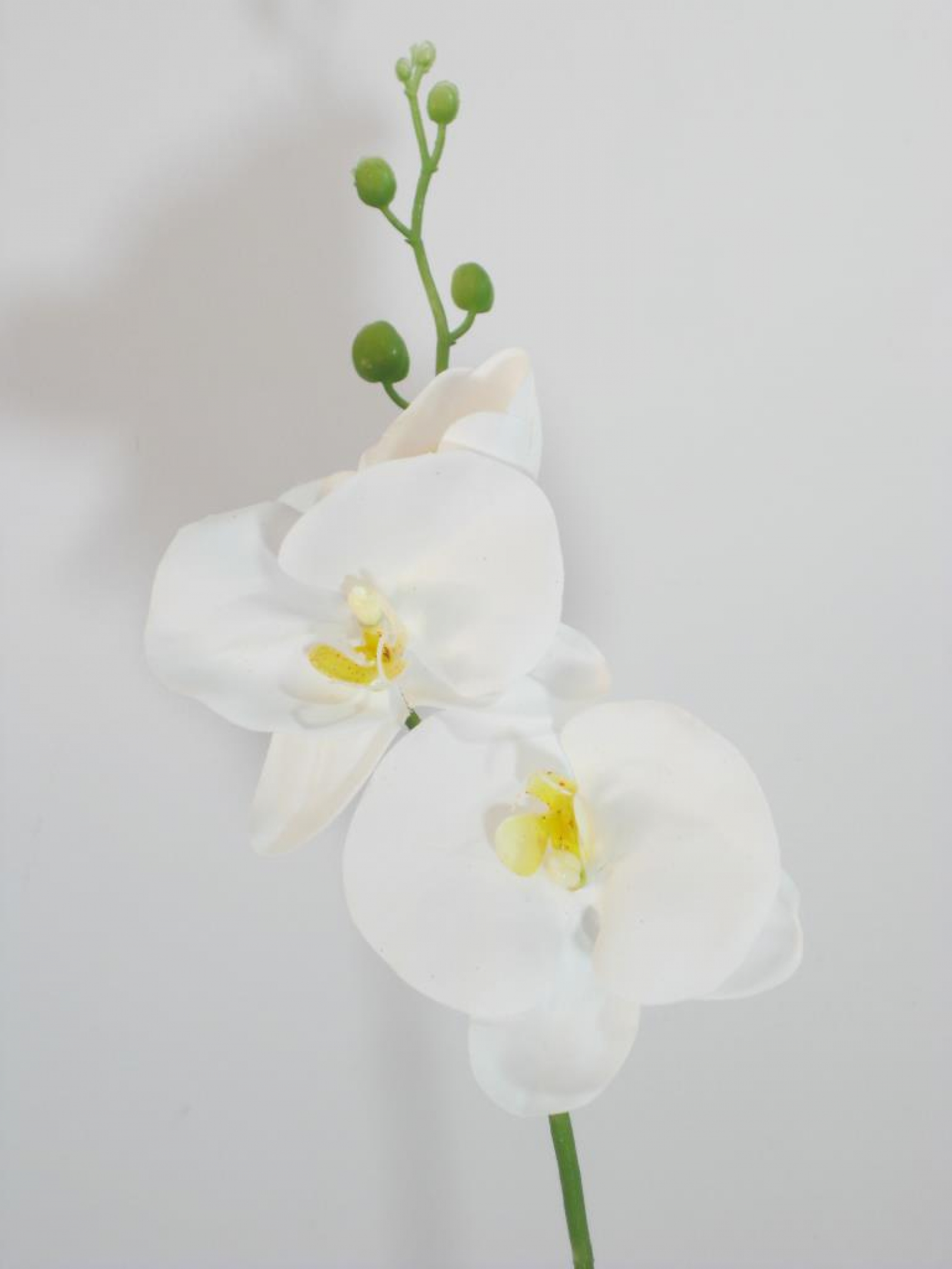 Orchideen-Zweig creme ca. 65cm PS016765PT