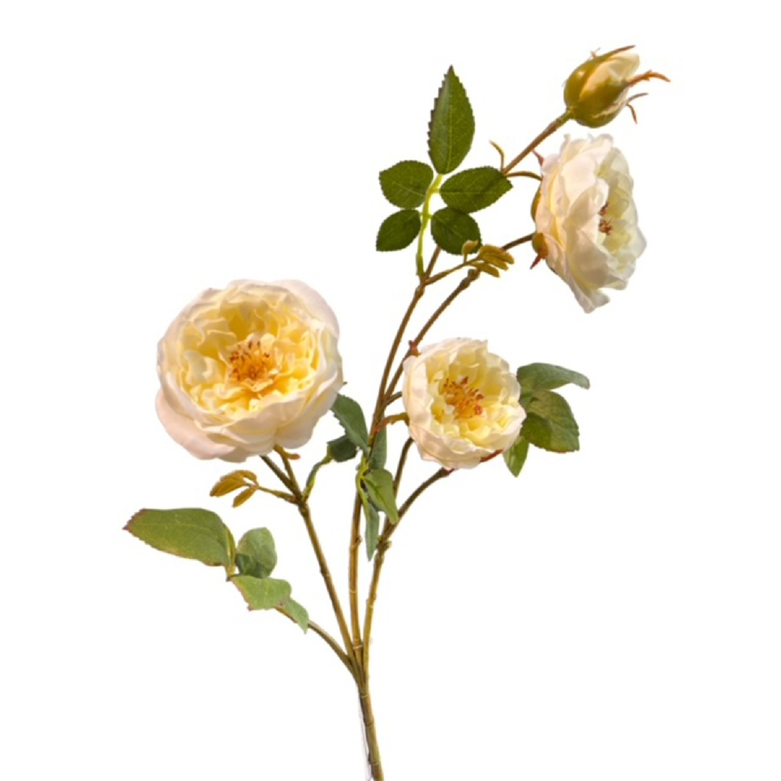 Rosenzweig, 65cm cremeweiss 120135-12