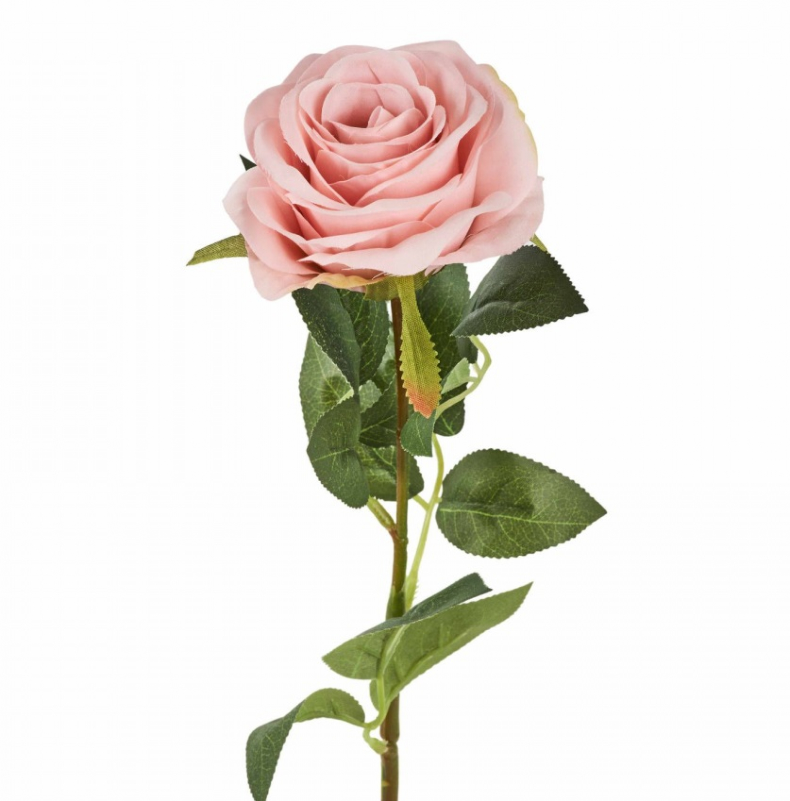 Rose L65cm rosa 120653-20