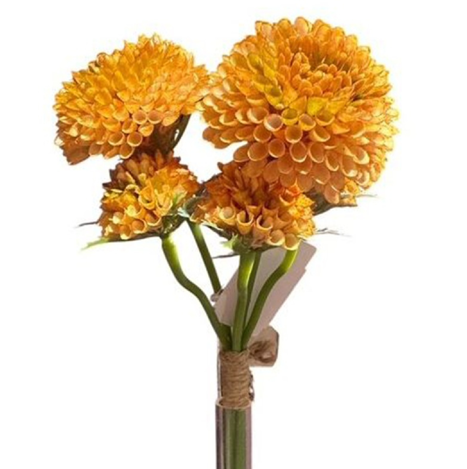 Zinnienbund x3, 33cm apricot 130327-36