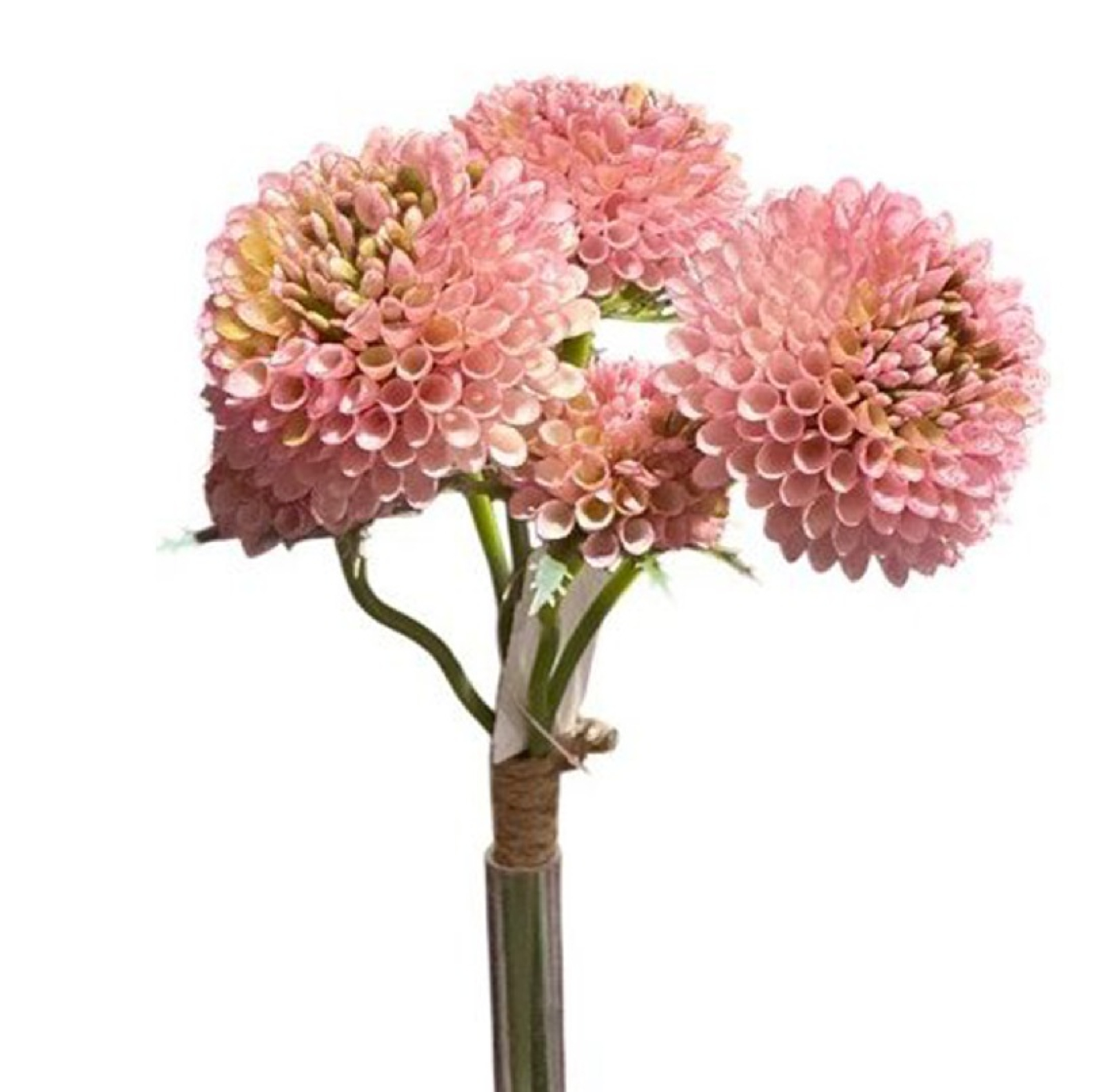 Zinnienbund x3, 33cm hellviolett 130327-56